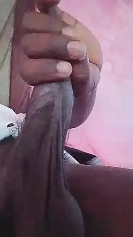 Indian black cock
