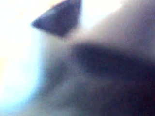 /beam/713585