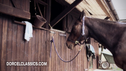 Steamy sex at the riding club