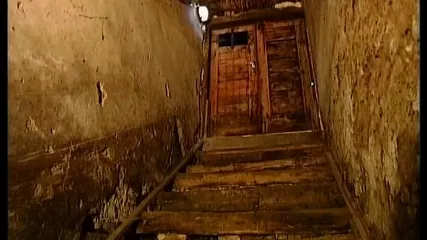 /beam/67a861a9cc498f247e7e9039