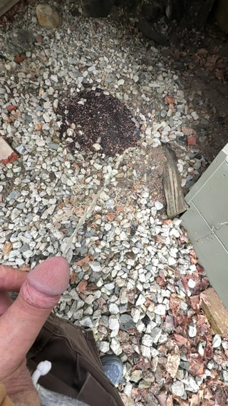 Outdoor pissing