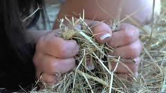 Brunette fucking redneck on hay