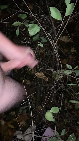 Horny in the woods