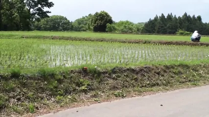 /beam/67a86317cc498f247e9030d6