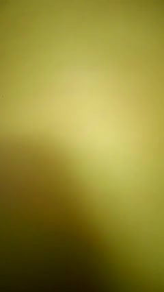 /beam/4837616