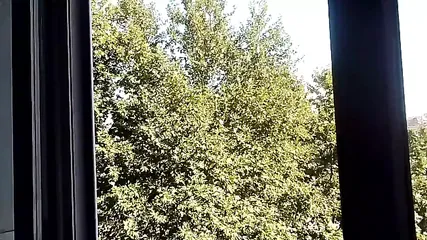 /beam/67a86328cc498f247e910edb