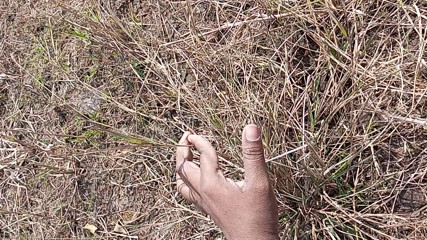 Gay Boy Outdoor Pussy Fuck Sissy Anal thumbnail