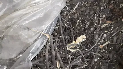 /beam/67a86392cc498f247e9696d7