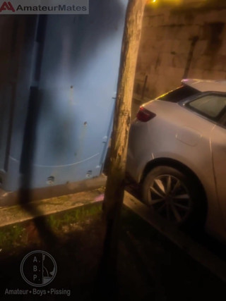 Amateur Boy Opens Street Public Toilets, Catches His Ginger Friend Peeing and Lends Him a Helping Hand