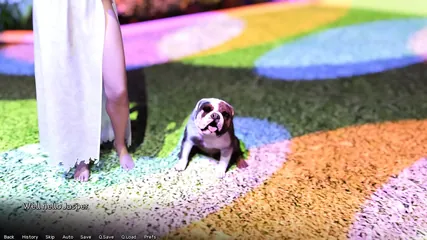 /beam/67a8631ccc498f247e906bfc