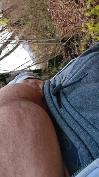 Hairy bear shows off his body and cock in the woods, outdoor