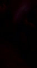 /beam/12016891