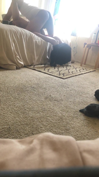 Big Dicking the Pussy