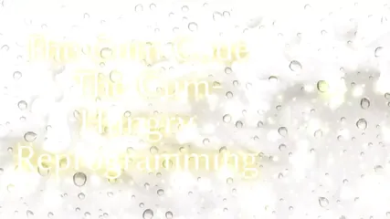 /beam/67a86371cc498f247e94bc8b