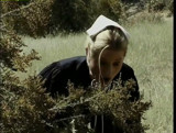 Homey in the Haystack, Part 1