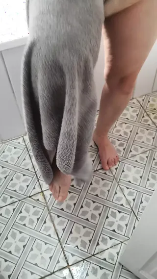 /beam/67a862c1cc498f247e8c0119