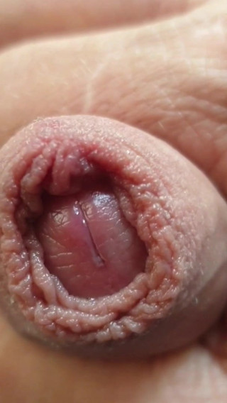 Just the tip very close up