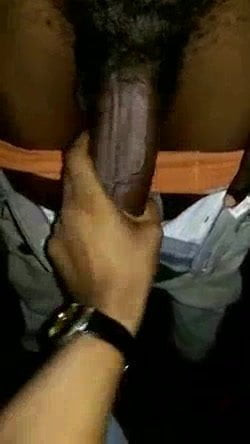Big African cock