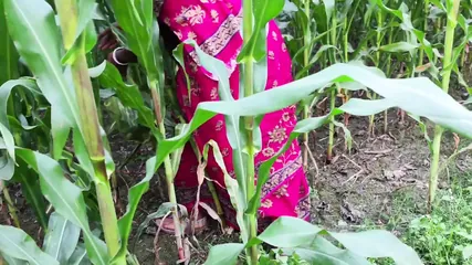 Outdoor jungle my bhabhi and me sex