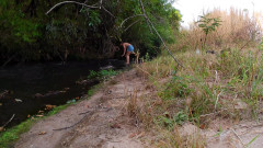 A meeting between strangers at the creek ends in unexpected sex.