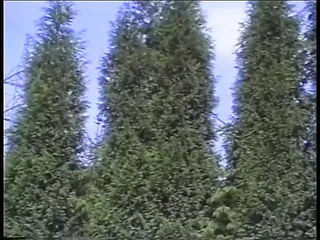 /beam/67a861c4cc498f247e7fd0bf