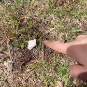 Pee on the Ground Near Truck Wheel