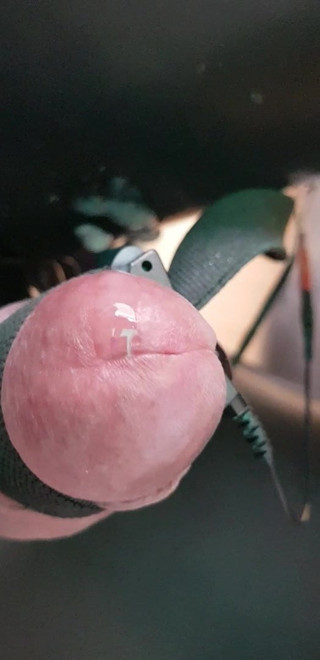 EStim, Latex CumShot