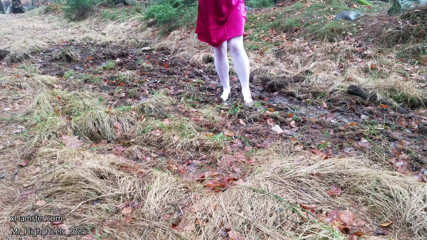 Mud in the forest