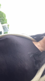 sexy nipples in a transparent blouse