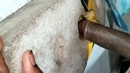 Indian panis very very hot boy