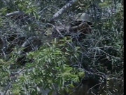 Hot bitch ass fucked on the hiking trail