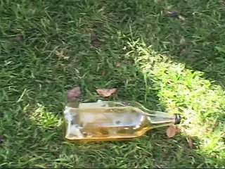 /beam/67a861cccc498f247e8035b8