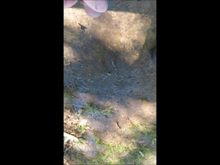 peeing in the park