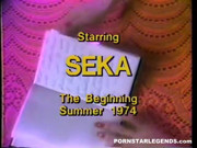 Seka Gets Titty Fucked