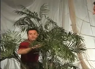 /beam/67a8621fcc498f247e843762