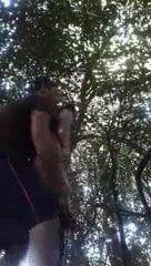 /beam/67a86018cc498f247e67101b