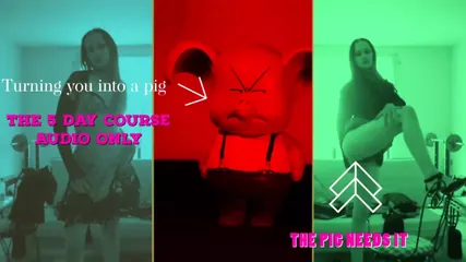 /beam/67a862b7cc498f247e8b9bde