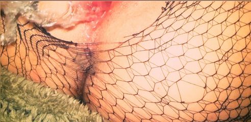 /beam/67a86244cc498f247e85ed13