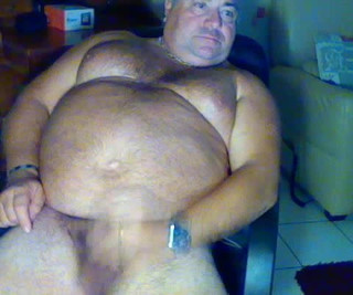 Big belly bear
