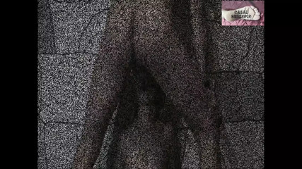 Kamasutra Casal Gresopio - Blowjob