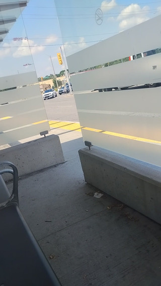 Exposing tiny cock in broad daylight at public bus stop.