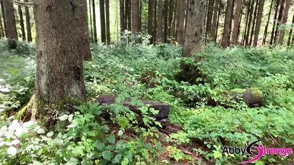 /beam/67a8635ecc498f247e93ca02