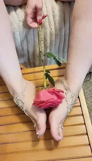 /beam/67a8637dcc498f247e95618c