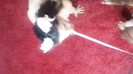 /beam/67a8630acc498f247e8f8428