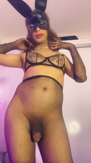 Bunny Sissy thumbnail
