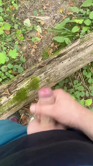 Finished on a Walk in the Forest