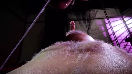 /beam/67a86346cc498f247e929340