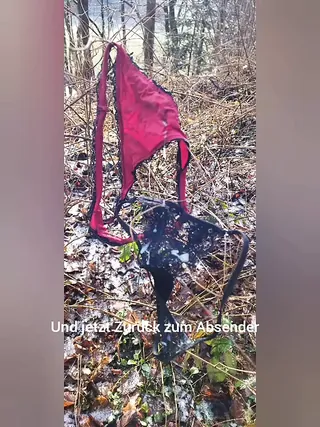 /beam/67a862d8cc498f247e8d1a2c