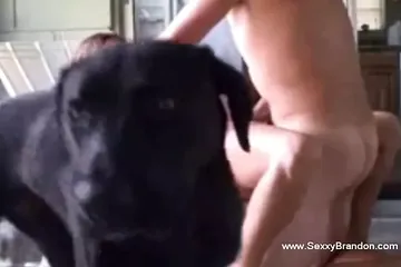 /beam/67a8618ecc498f247e7d3a4e