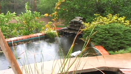 Begierde &uuml;berschreitet jede Grenze in einer hemmungslosen